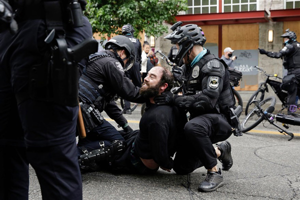 دور دنیا در قاب تصاویر؛ داستان یک خرس مشهور و سیاه