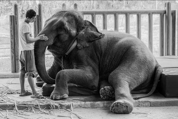 دور دنیا در قاب تصاویر؛ پرستاران خندان