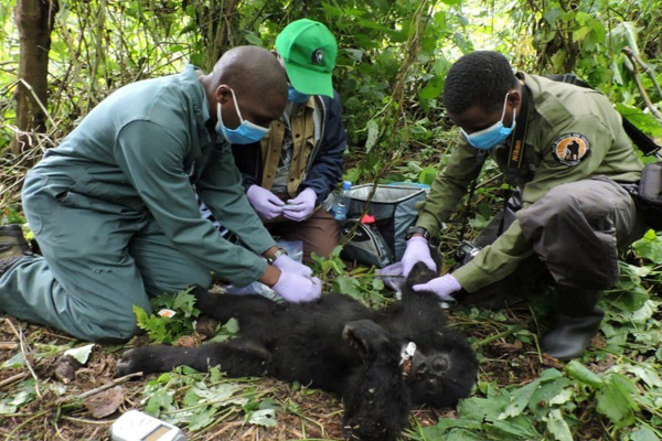 دور دنیا در قاب تصاویر؛ خاکستر سوخته قربانیان کرونایی دور دنیا در قاب تصاویر؛ خاکستر سوخته قربانیان کرونایی