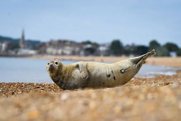 دور دنیا در قاب تصاویر؛ جنازه ای در سطل آشغال دور دنیا در قاب تصاویر؛ جنازه ای در سطل آشغال