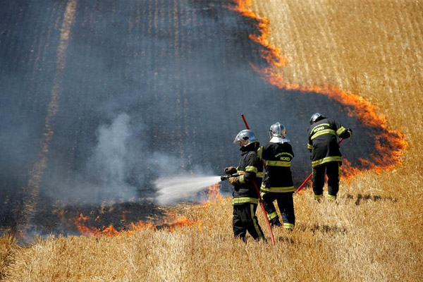 دور دنیا در قاب تصاویر؛ هجوم نیوزلندی ها به فروشگاه ها دور دنیا در قاب تصاویر؛ هجوم نیوزلندی ها به فروشگاه ها