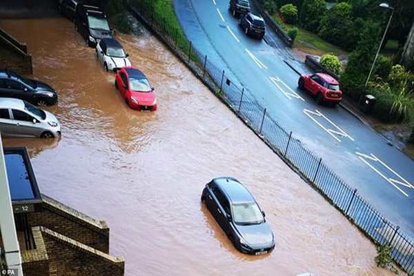 دور دنیا در قاب تصاویر؛ هجوم نیوزلندی ها به فروشگاه ها دور دنیا در قاب تصاویر؛ هجوم نیوزلندی ها به فروشگاه ها
