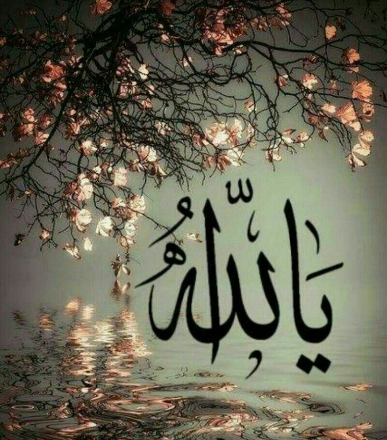 پروفایل مذهبی 99