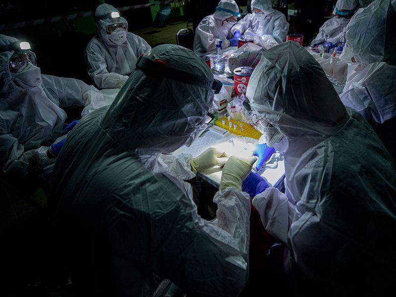 این خفاش ها دلیل اصلی شیوع کرونا در جهان هستند؟ (گزارش تصویری)