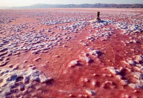 دریاچه صورتی ایران کجاست؟ (+تصاویر)