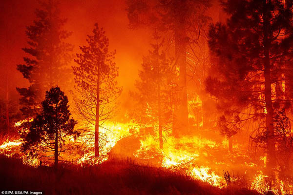 آمریکا در آتشی وحشتناک و عجیب می سوزد (تصاویر) آمریکا در آتشی وحشتناک و عجیب می سوزد (تصاویر)