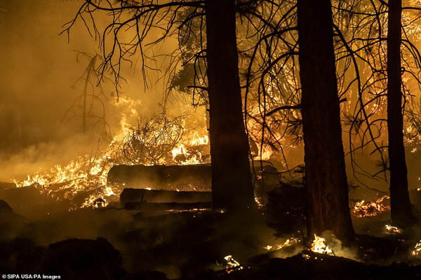 آمریکا در آتشی وحشتناک و عجیب می سوزد (تصاویر) آمریکا در آتشی وحشتناک و عجیب می سوزد (تصاویر)
