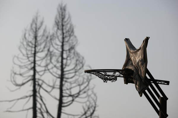 دور دنیا در قاب تصاویر ؛ خرس 39 هزار ساله دور دنیا در قاب تصاویر ؛ خرس 39 هزار ساله