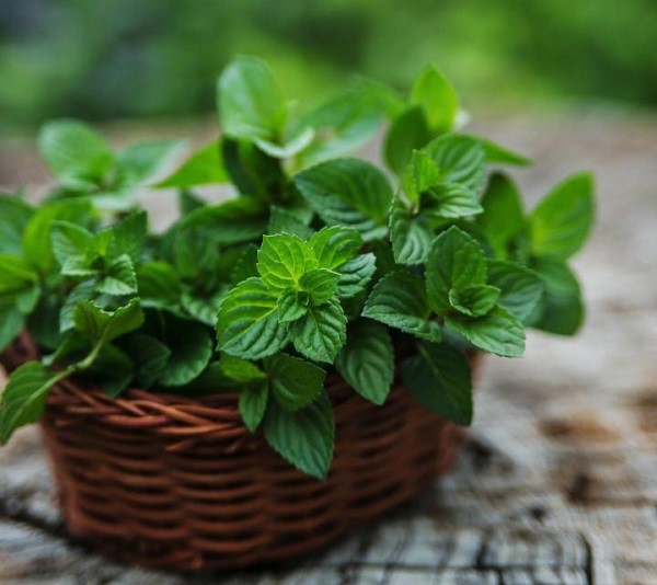 با کبودی و سیاهی دور چشم خداحافظی کنید! با کبودی و سیاهی دور چشم خداحافظی کنید!