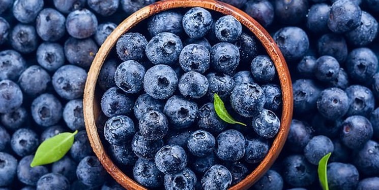 خوشمزه های رنگارنگ