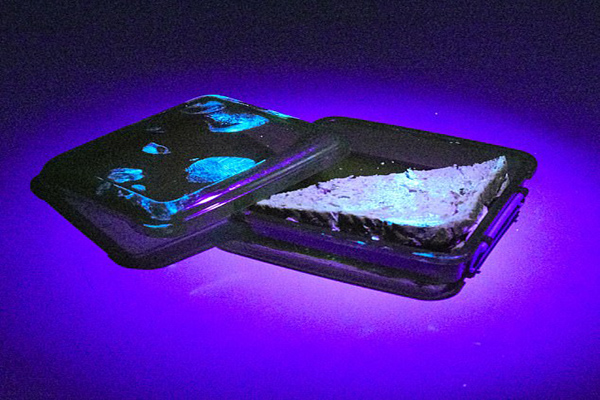 اجتماع ترسناک ویروس کرونا بر روی اجسام محل کار (گزارش تصویری)