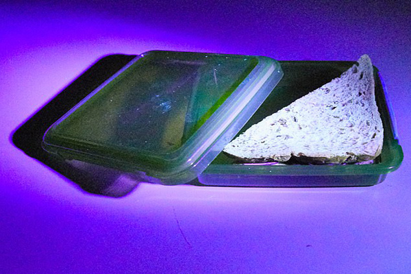 اجتماع ترسناک ویروس کرونا بر روی اجسام محل کار (گزارش تصویری)