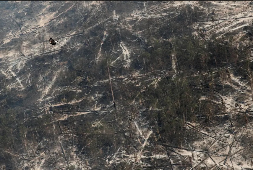 آتشی که آمازون و حیواناتش را می بلعد (گزارش تصویری) آتشی که آمازون و حیواناتش را می بلعد (گزارش تصویری)