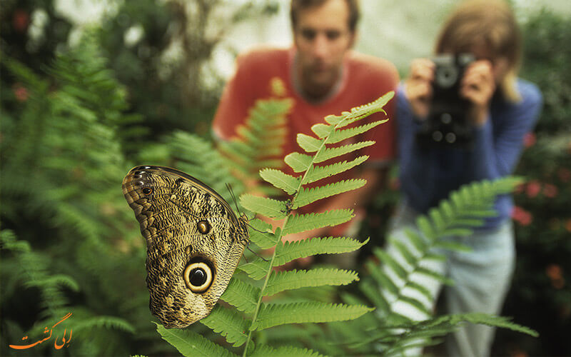 معرفی انواع مختلف گردشگری