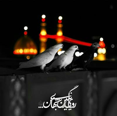 پروفایل اربعین 99