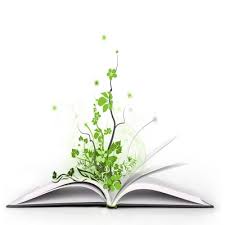 تعلیم مقدم است یا تربیت؟