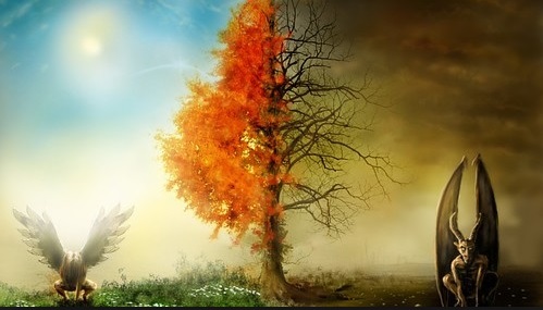 سعادت و شقاوت در کلام اهل‌بیت (علیهم السلام)