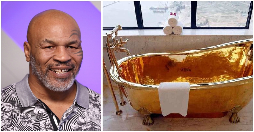 عجیب و غریب‌ترین چیز‌هایی که سلبریتی‌های مشهور با پول‌هایشان خریدند/ از خرید جمجمه دایناسور مغولی تا معدن الماس