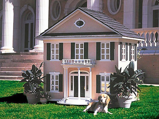 عجیب و غریب‌ترین چیز‌هایی که سلبریتی‌های مشهور با پول‌هایشان خریدند/ از خرید جمجمه دایناسور مغولی تا معدن الماس