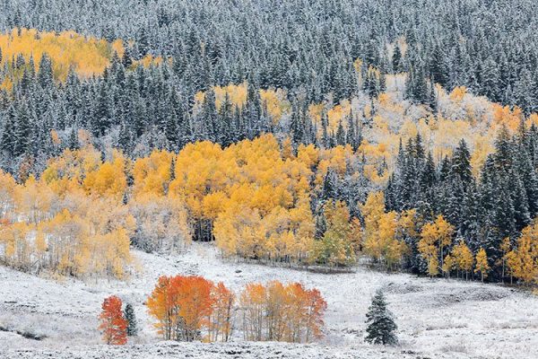 8 نکته برای عکاسی از طبیعت پاییزی 8 نکته برای عکاسی از طبیعت پاییزی