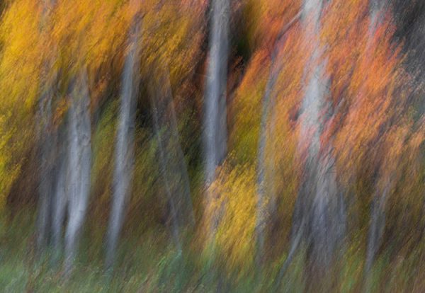 8 نکته برای عکاسی از طبیعت پاییزی