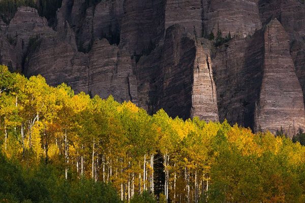 8 نکته برای عکاسی از طبیعت پاییزی