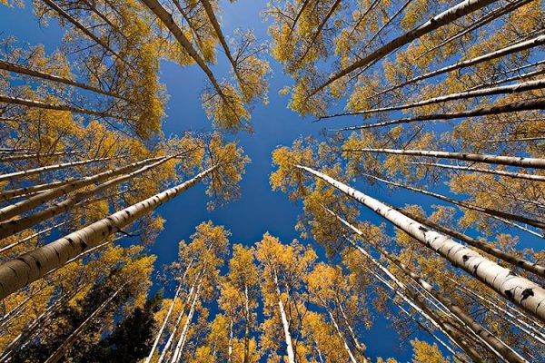 8 نکته برای عکاسی از طبیعت پاییزی