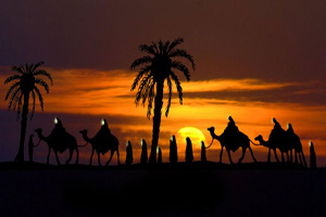 آیا کاروان اسرا روز اربعین به کربلا رسیدند؟