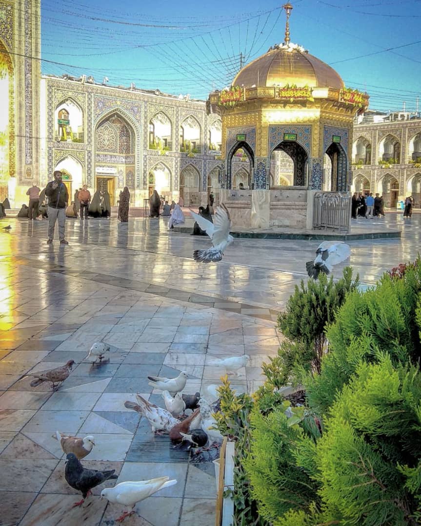 شرح مختصری از زندگانی امام رضا علیه السلام