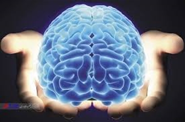 عقل معاد و عقل معاش عقل معاد و عقل معاش