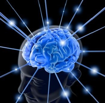 عقل معاد و عقل معاش عقل معاد و عقل معاش