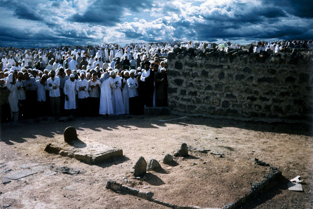 صبر سبز(شهادت امام حسن مجتبی علیه السلام )