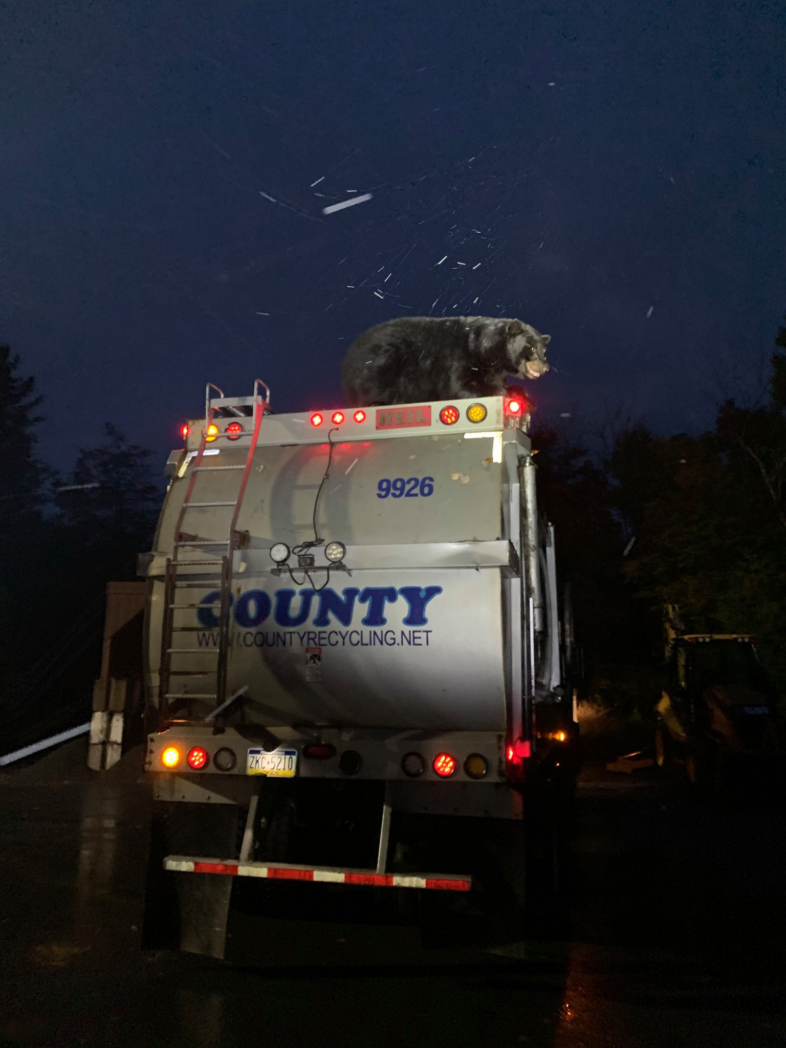 کامیون سواری خرس سیاه تا ایستگاه پلیس!(+عکس)