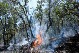 آتش سوزی در ارتفاعات