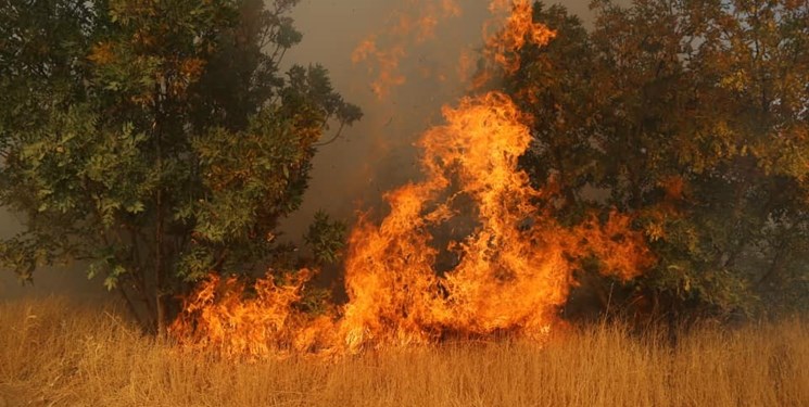 آتش سوزی ارتفاعات کوه پهن گچساران پس از چهار روز تلاش مهار شد/ قریب بر150هکتاردر آتش سوخت.