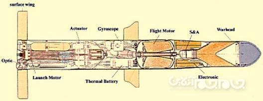 آشنایی با ۷ عضو پر افتخار خانواده «توفان» +عکس