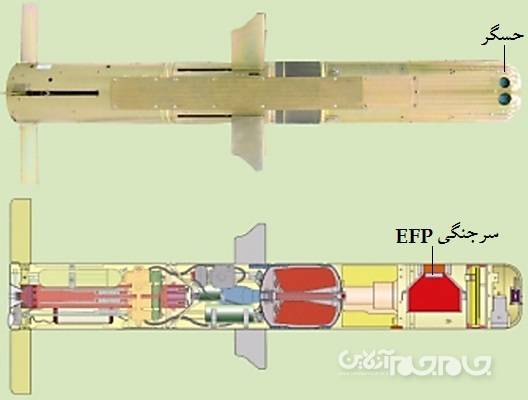 آشنایی با ۷ عضو پر افتخار خانواده «توفان» +عکس