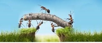 فرهنگ کار در اسلام