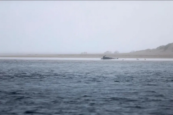 دور دنیا در قاب تصاویر؛ بازی کودکانه بعد از تخریب خانه دور دنیا در قاب تصاویر؛ بازی کودکانه بعد از تخریب خانه