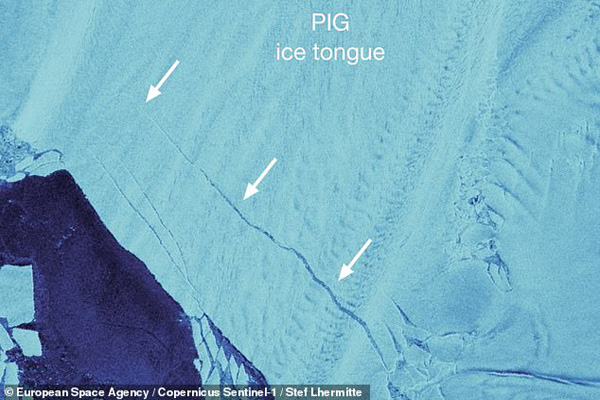 آنها هرگز پرواز نکرده اند! (تصاویر)