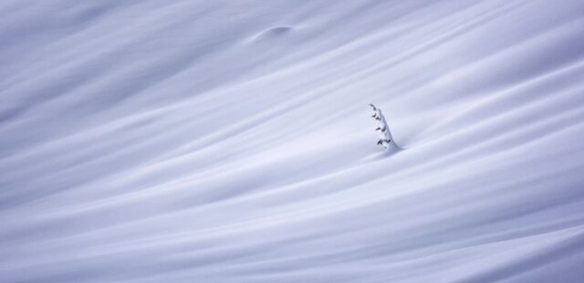 برترین عکسهای پانوراما (+تصاویر) برترین عکسهای پانوراما (+تصاویر)