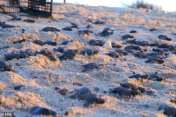 غوغای دستمال توالت در انگلیس! / نجات از زیر آوار 24 بعد از زلزله (تصاویر)