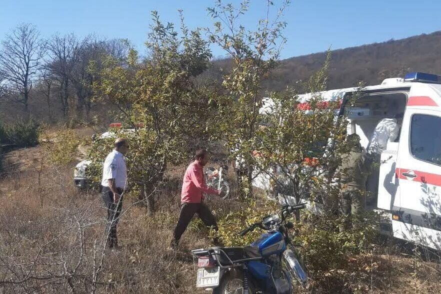 گازگرفتگی جان ۲ نفر را در گالیکش گرفت