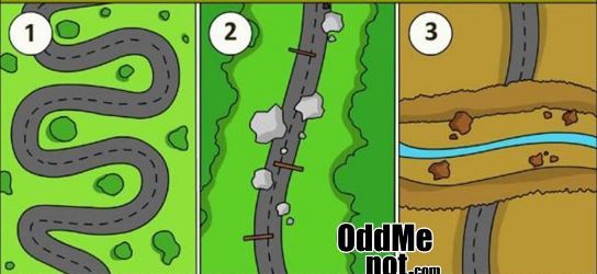 این جاده‌ها نشانگر شخصیت‌تان هستند/ شما از کدام مسیر‌ می‌روید؟