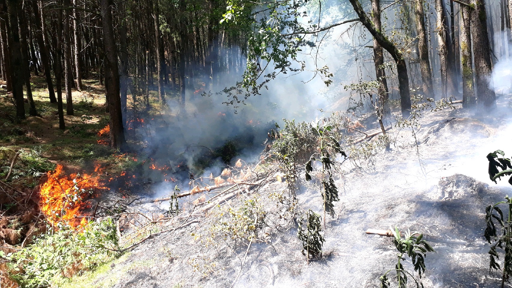 کنترل آتش سوزی در ارتفاعات ماسال استان گیلان