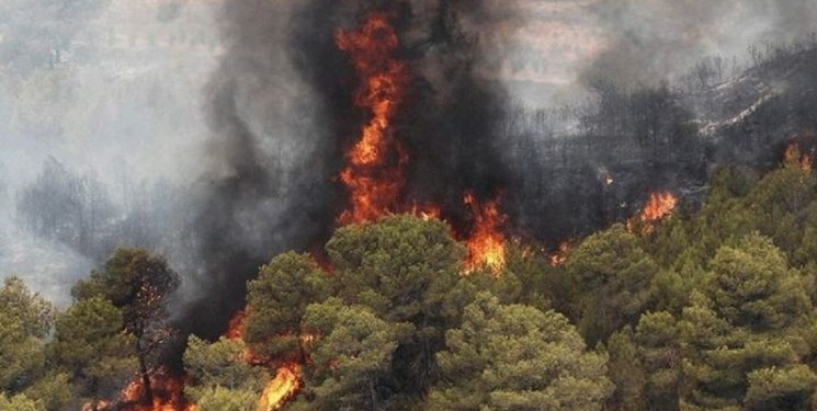 اطفاء حریق ییلاقات شاندرمن تا عصر امروز؛ بالگرد اطفاء نیاز نیست