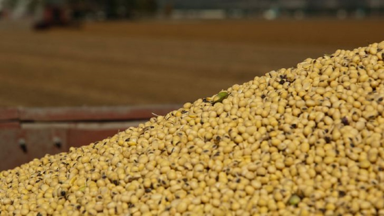 توقیف ۵۰ تن کنجاله سویا قاچاق در اهواز توقیف ۵۰ تن کنجاله سویا قاچاق در اهواز