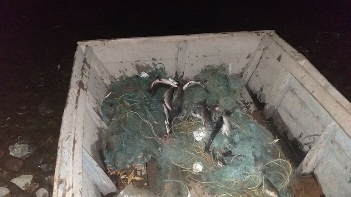 دستگیری قاتل متواری پس از ۶ سال / کشف ۵۰۰ متر تور ماهیگیری از صیادان متخلف در بوکان