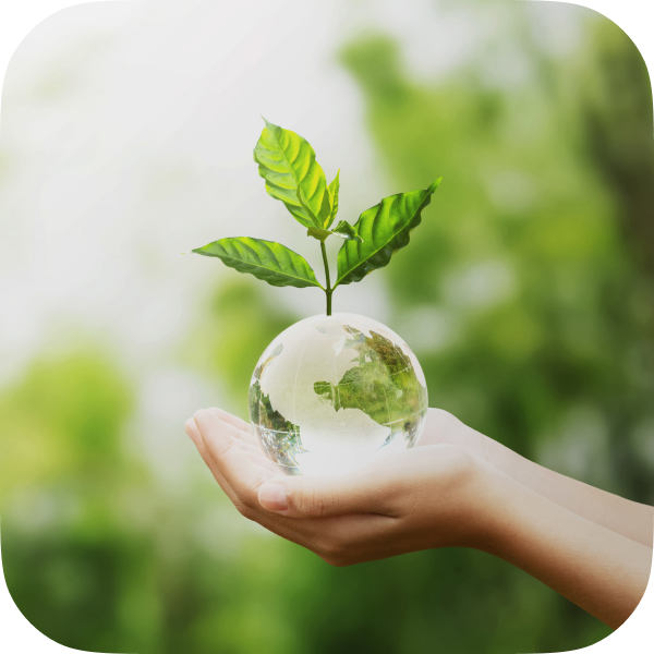 شرح نامه 31 نهج البلاغه/ دلجویی از نیازمندان شرح نامه 31 نهج البلاغه/ دلجویی از نیازمندان