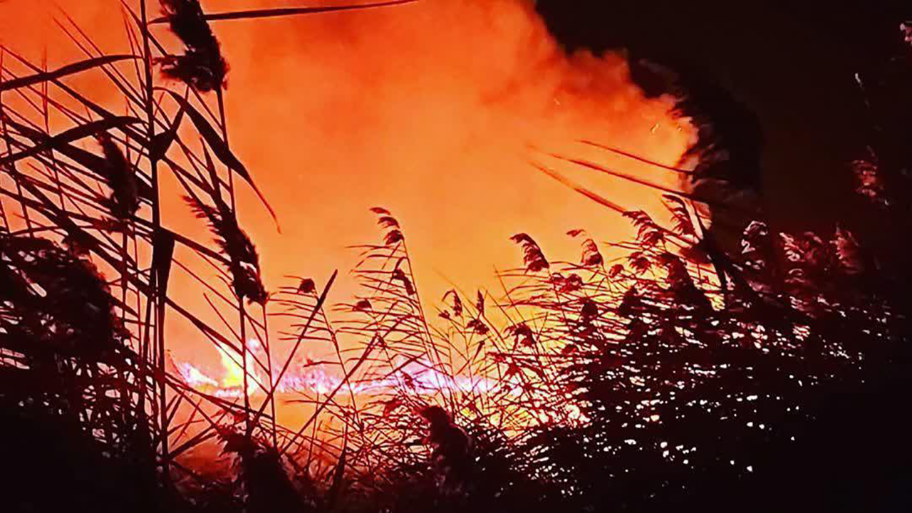 اطفای حریق ۱۸ هکتار از نیزارهای تالاب کانی برازان مهاباد اطفای حریق ۱۸ هکتار از نیزارهای تالاب کانی برازان مهاباد